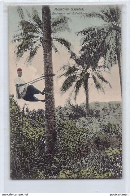 Liberia - MONROVIA - Climbing the palm trees - Publ. H. Rathjen (succ. Spenker)