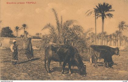 LIBIA-TRIPOLI GIARDINO