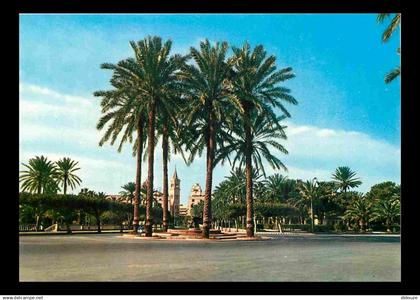 Libye - Tripoli - Adriano Pelt Street - CPM - Carte neuve - Voir Scans Recto-Verso