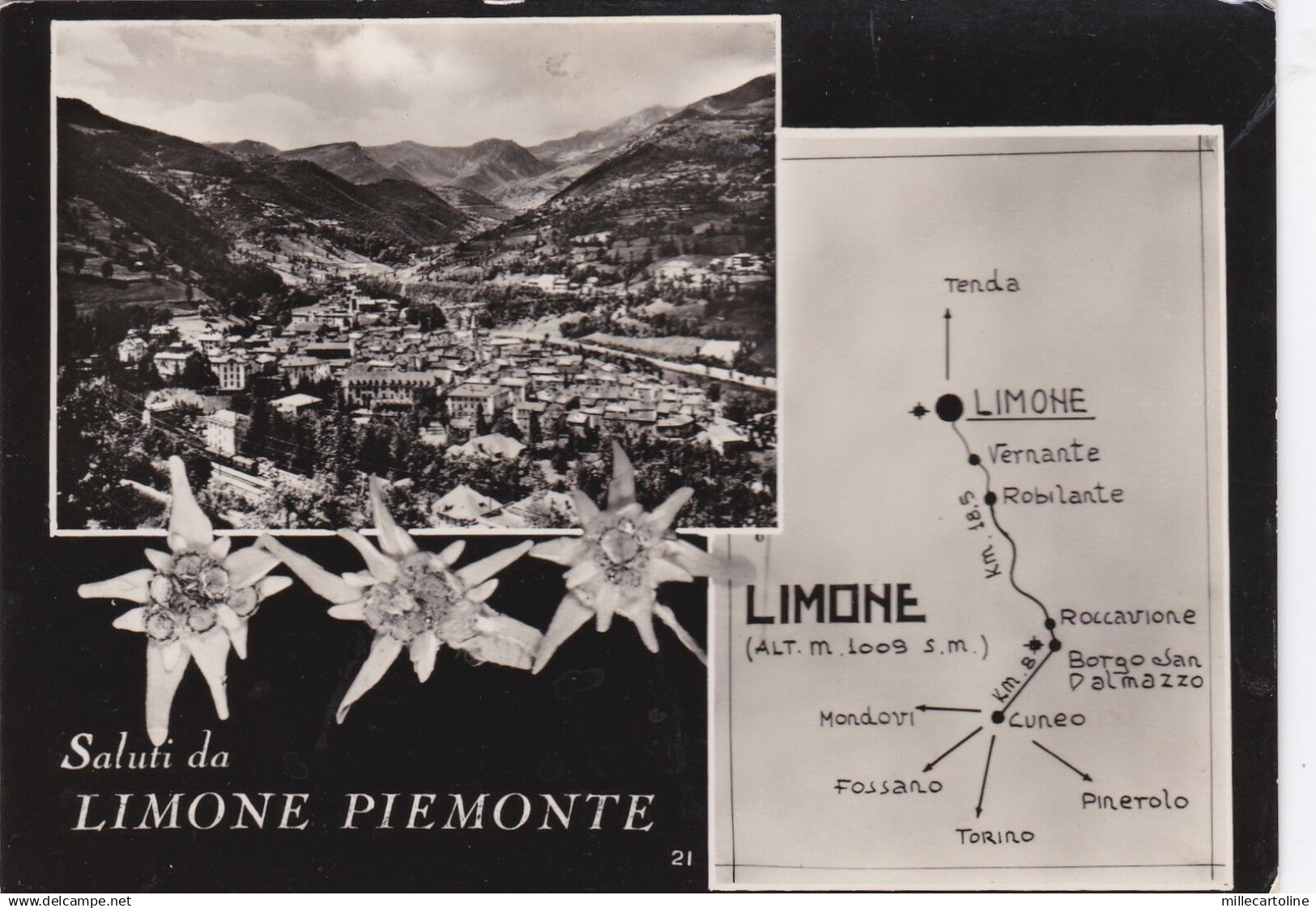 # LIMONE PIEMONTE ..SALUTI DA  - 1956