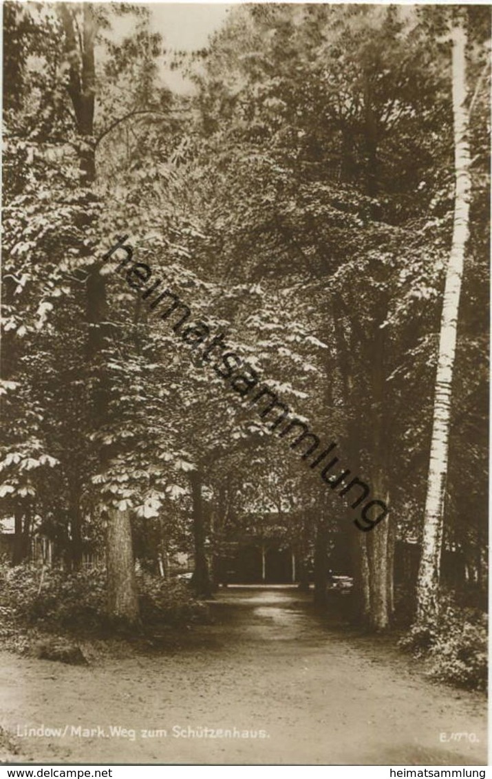 Lindow (Mark) - Weg zum Schützenhaus - Foto-AK 20er Jahre - Verlag G. Schroeter Lindow Buch- und Papierhandlung