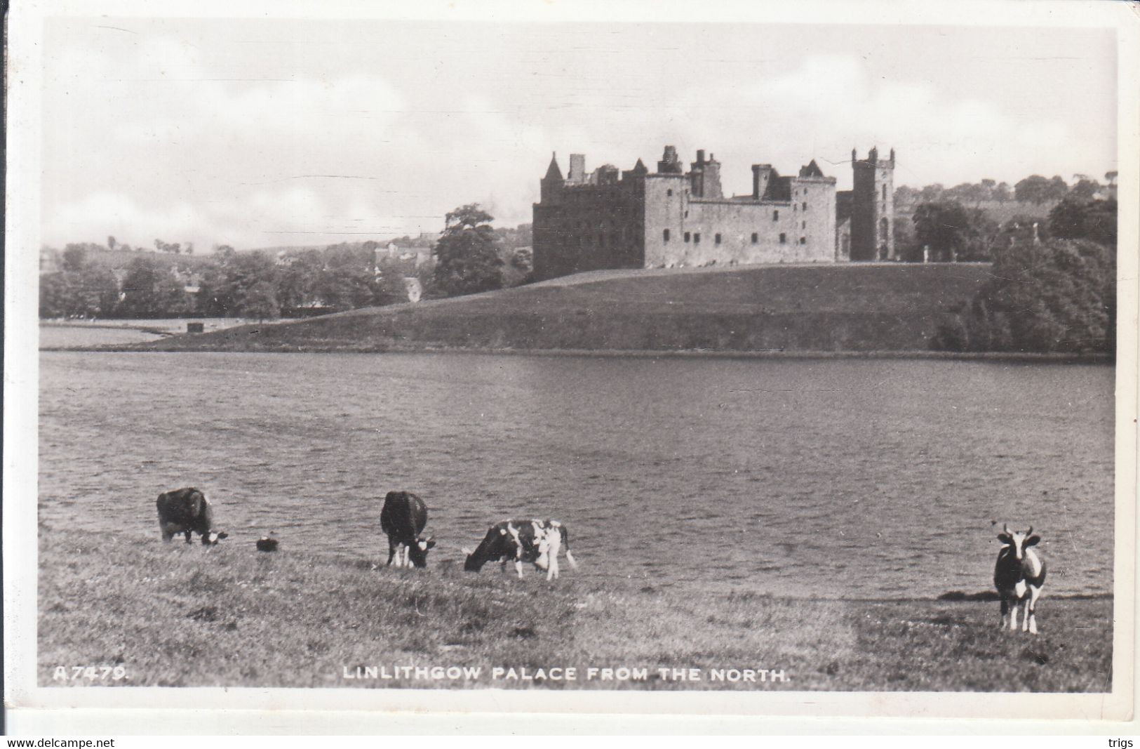 Linlithgow - Palace from the North