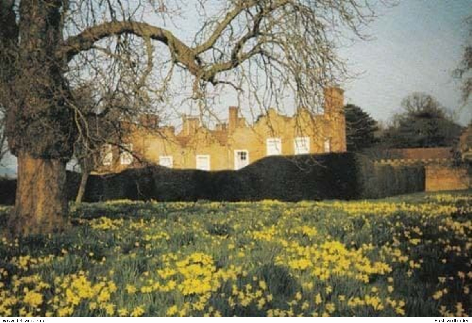 Liscombe Park Buckinghamshire Bucks Easter Postcard