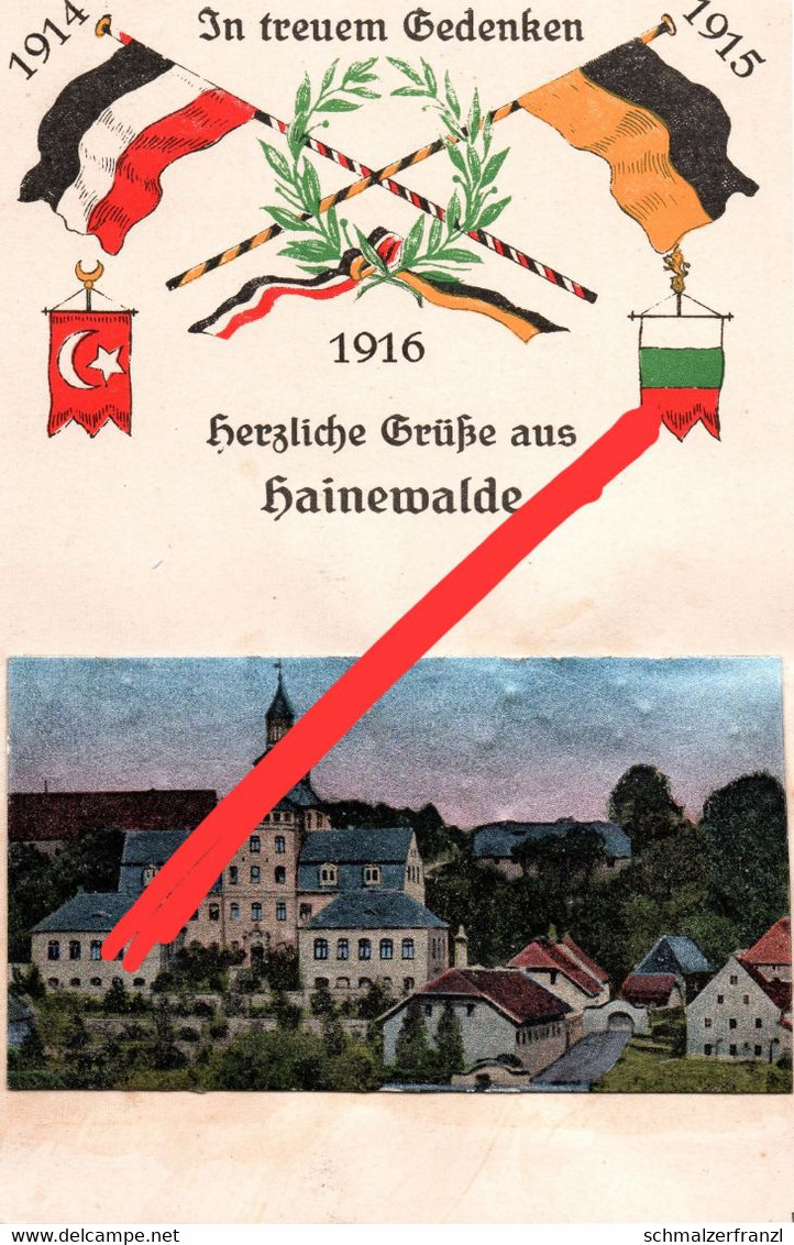 Litho AK Hainewalde In treuem Gedenken WW 1 Weltkrieg Wappen a Großschönau Bertsdorf Hörnitz Seifhennersdorf Zittau