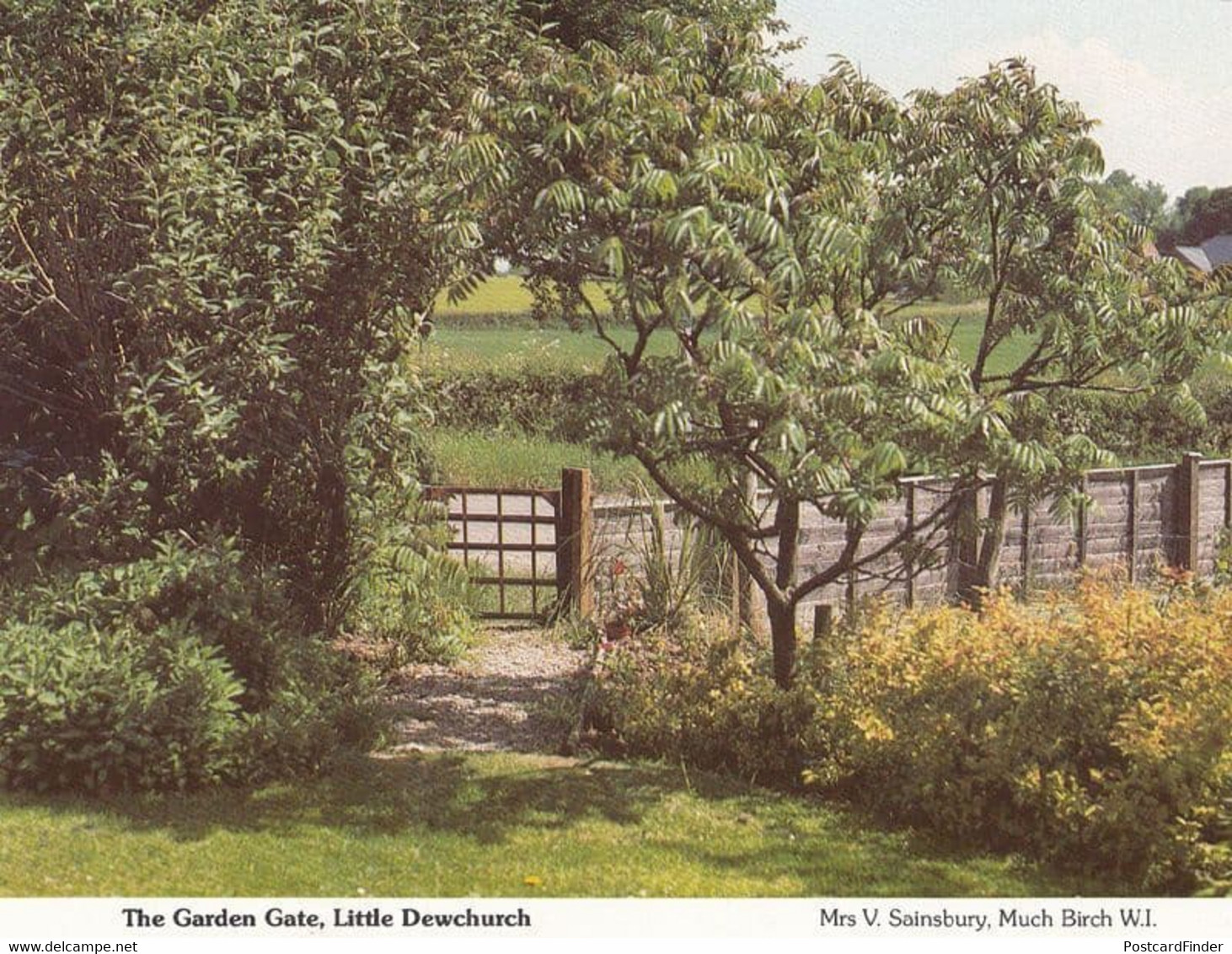 Little Dewchurch Country Garden Herefordshire Womens Institute Postcard