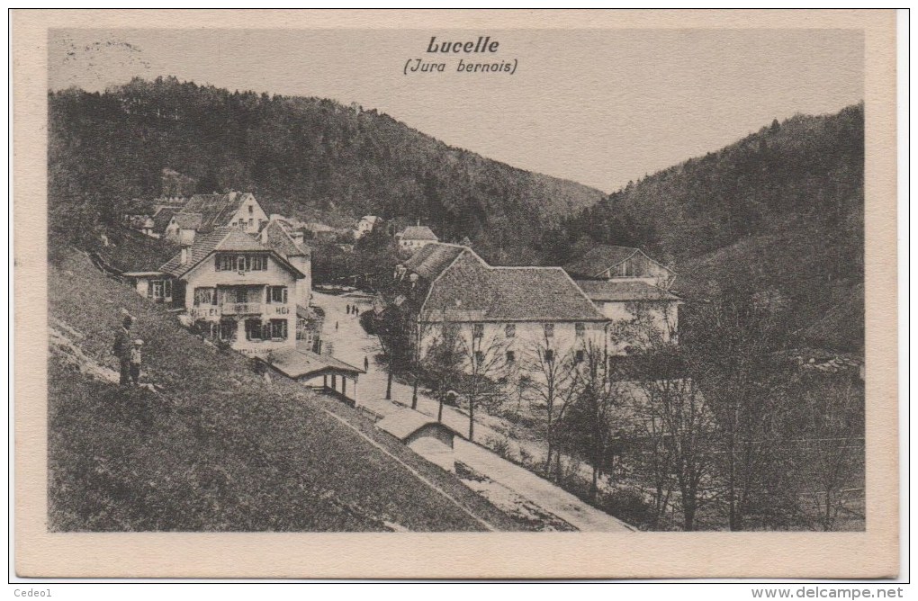 LUCELLE  JURA BERNOIS