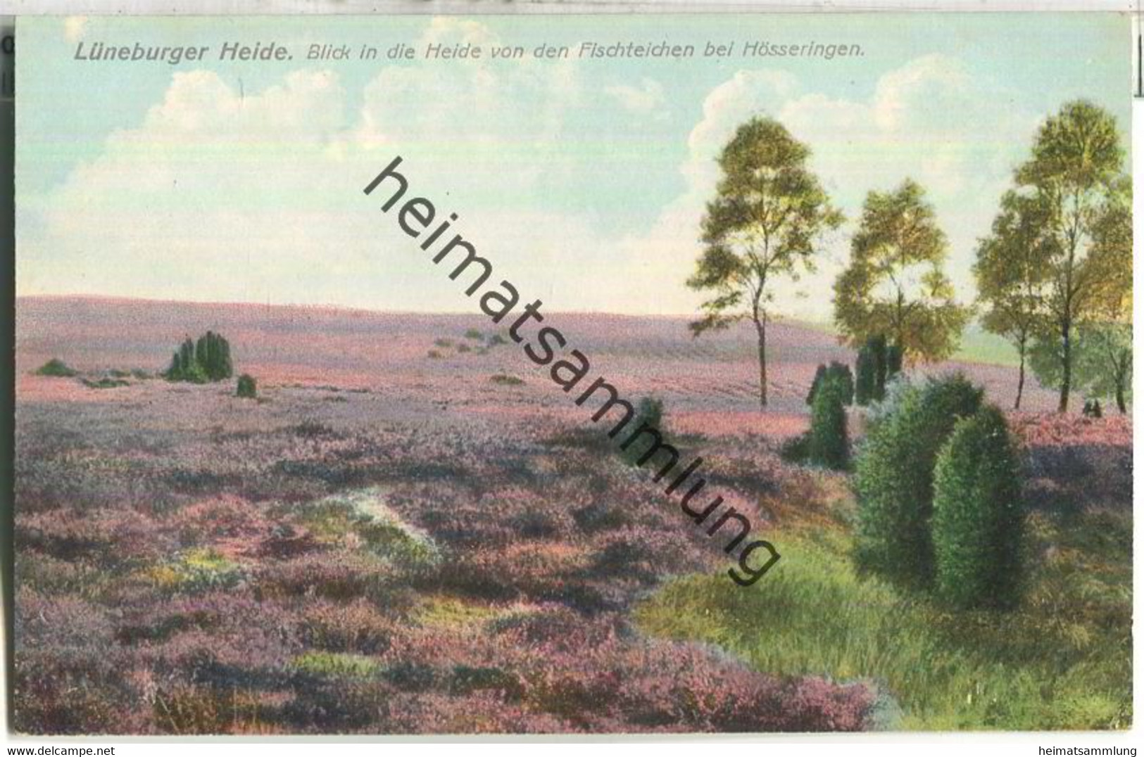 Lüneburger Heide - Blick in die Heide von den Fischteichen bei Hösseringen