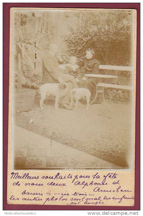 LUXEMBOURG - 130213 - Carte photo famille dans jardin avec chiens  (oblitération de DUDELANGE)