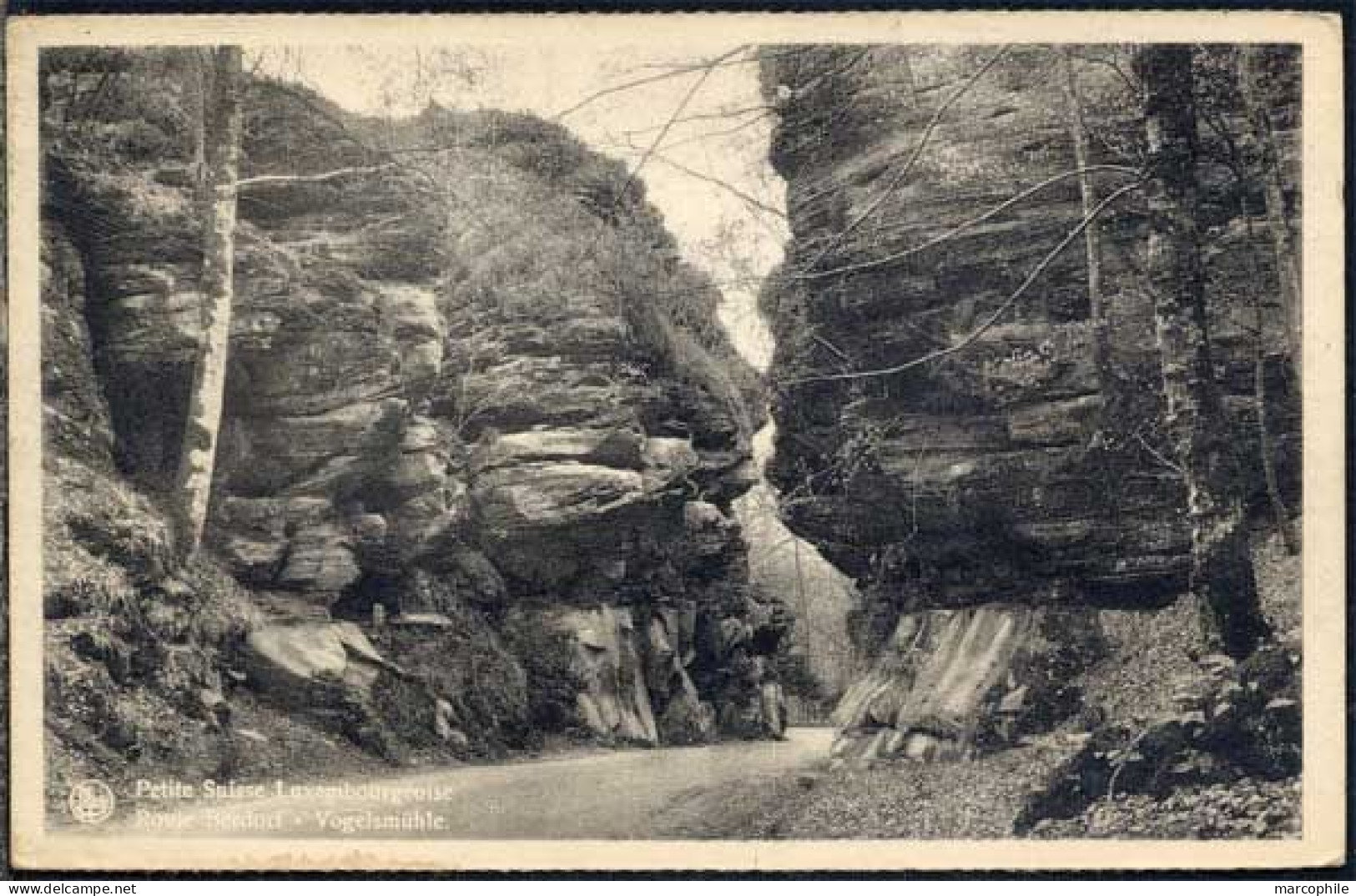 LUXEMBOURG / CARTE POSTALE ROUTE BERDORF (ref CP832)