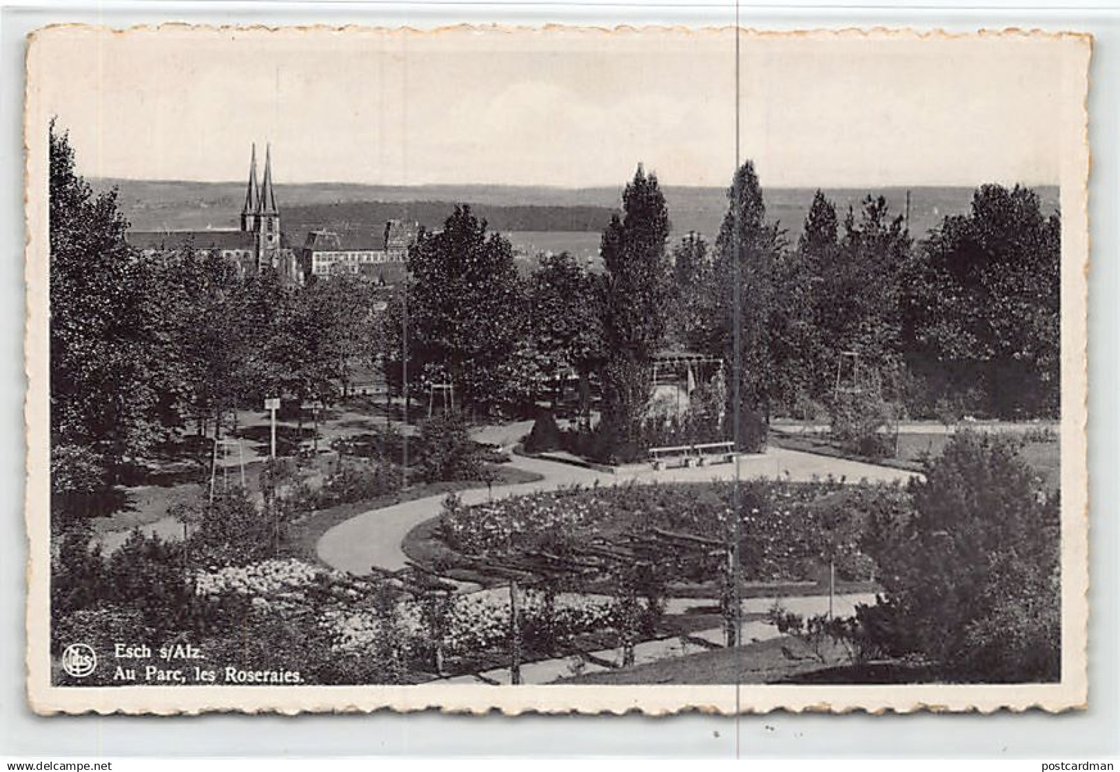 Luxembourg - ESCH SUR ALZETTE - Au Parc, les roseraies - Ed. E. A. Schaack