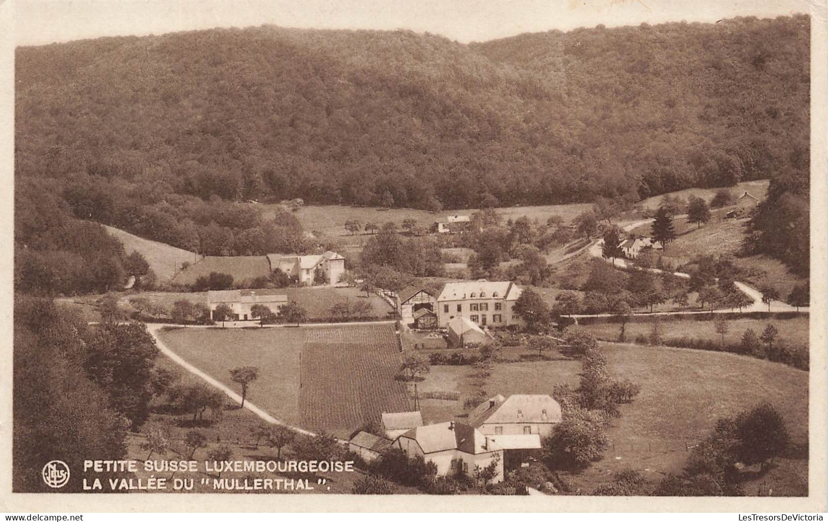 LUXEMBOURG - Muellerthal - Petite suisse Luxembourgeoise - La Vallée du "Mullerthal" - Carte Postale Ancienne