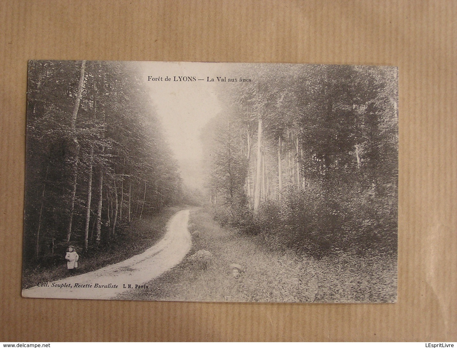 LYONS LA FORÊT Le Val aux Ânes Animée Département 27 Eure Carte Postale France