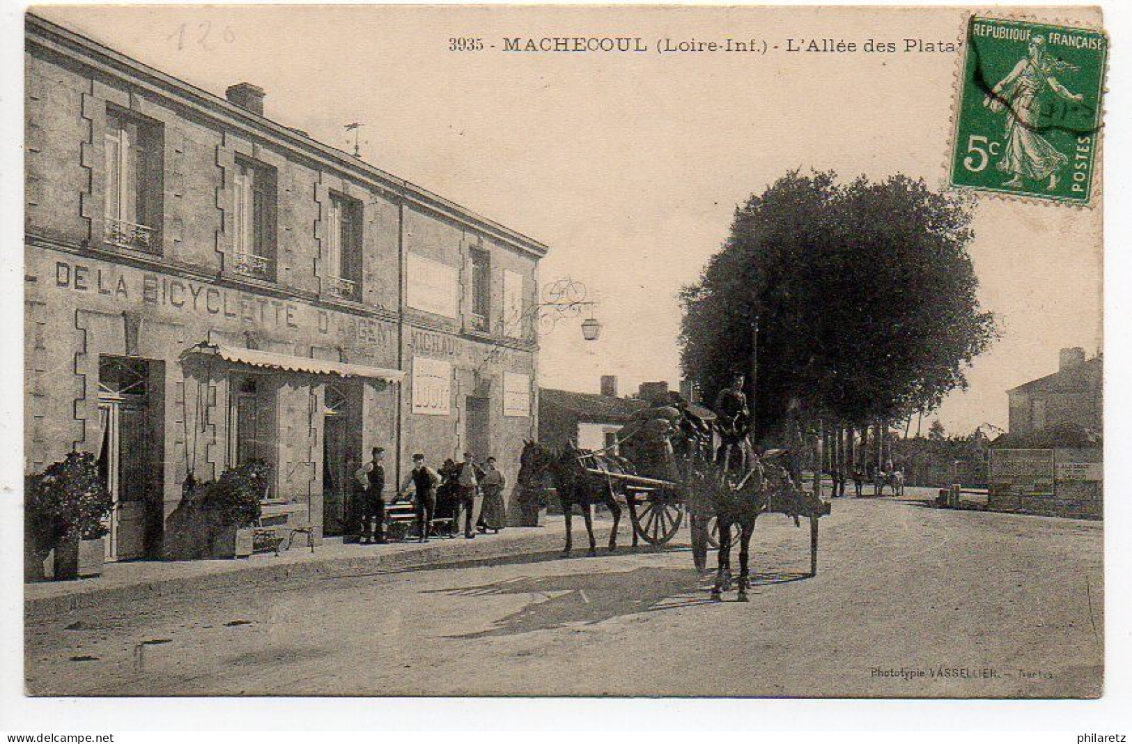 Machecoul : L'allée des Platanes