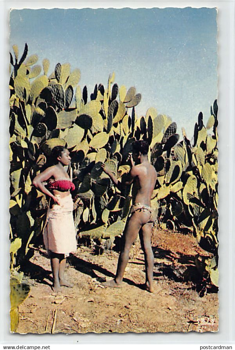 Madagascar - Les Raketa dans le Sud - Ed. Librairie de Madagascar 109