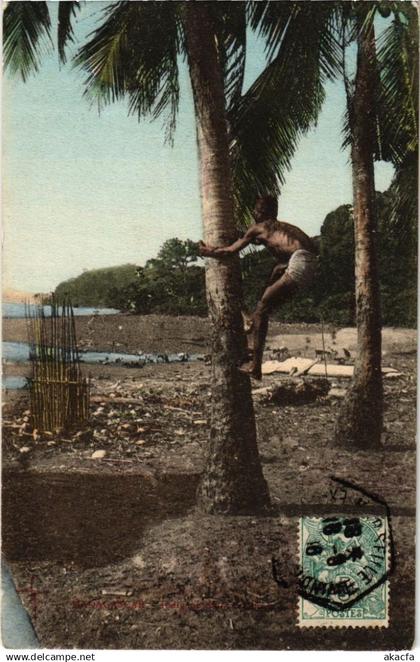 CPA AK Man Climbing on a Tree MADAGASKAR (1060779)