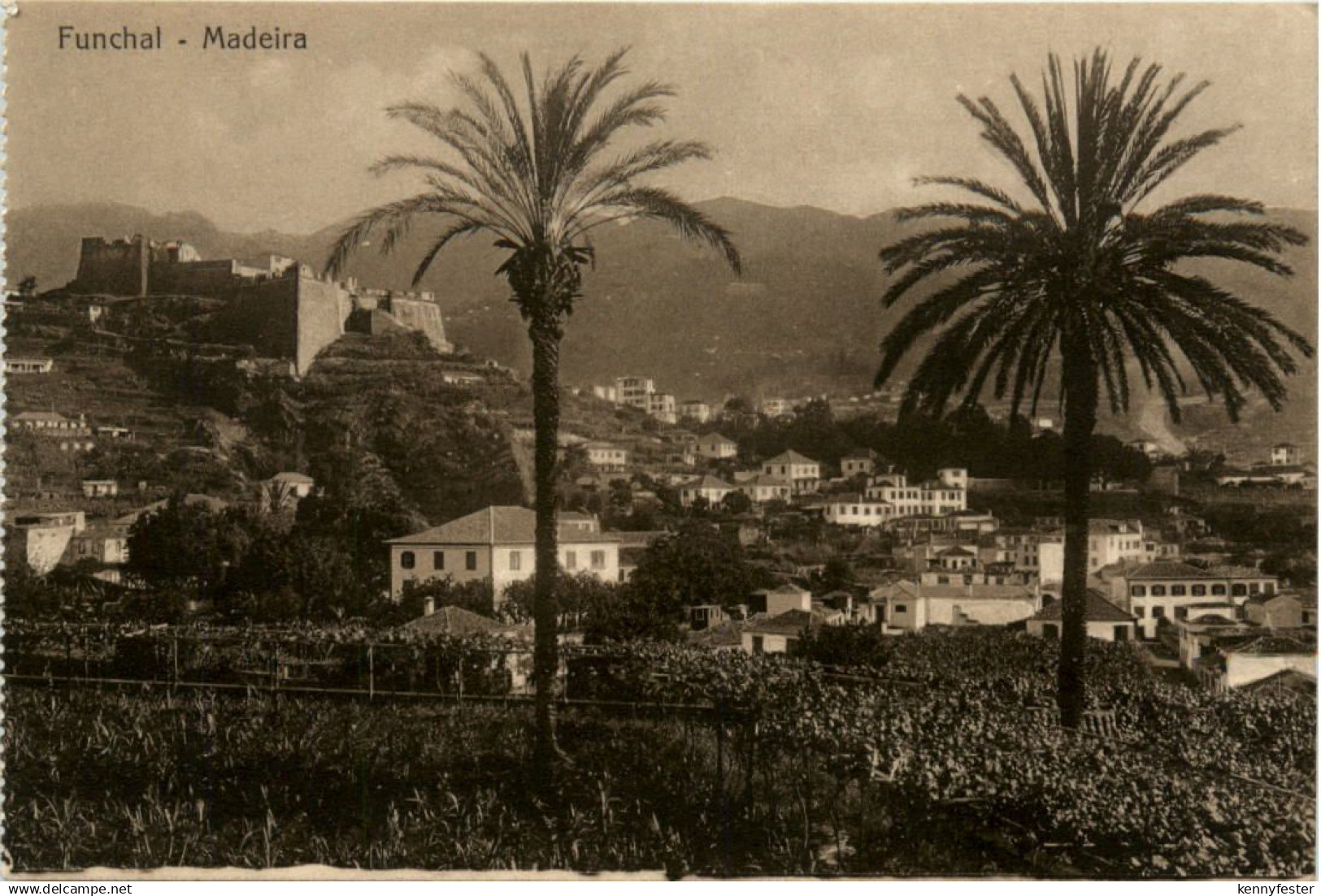 Madeira - Funchal