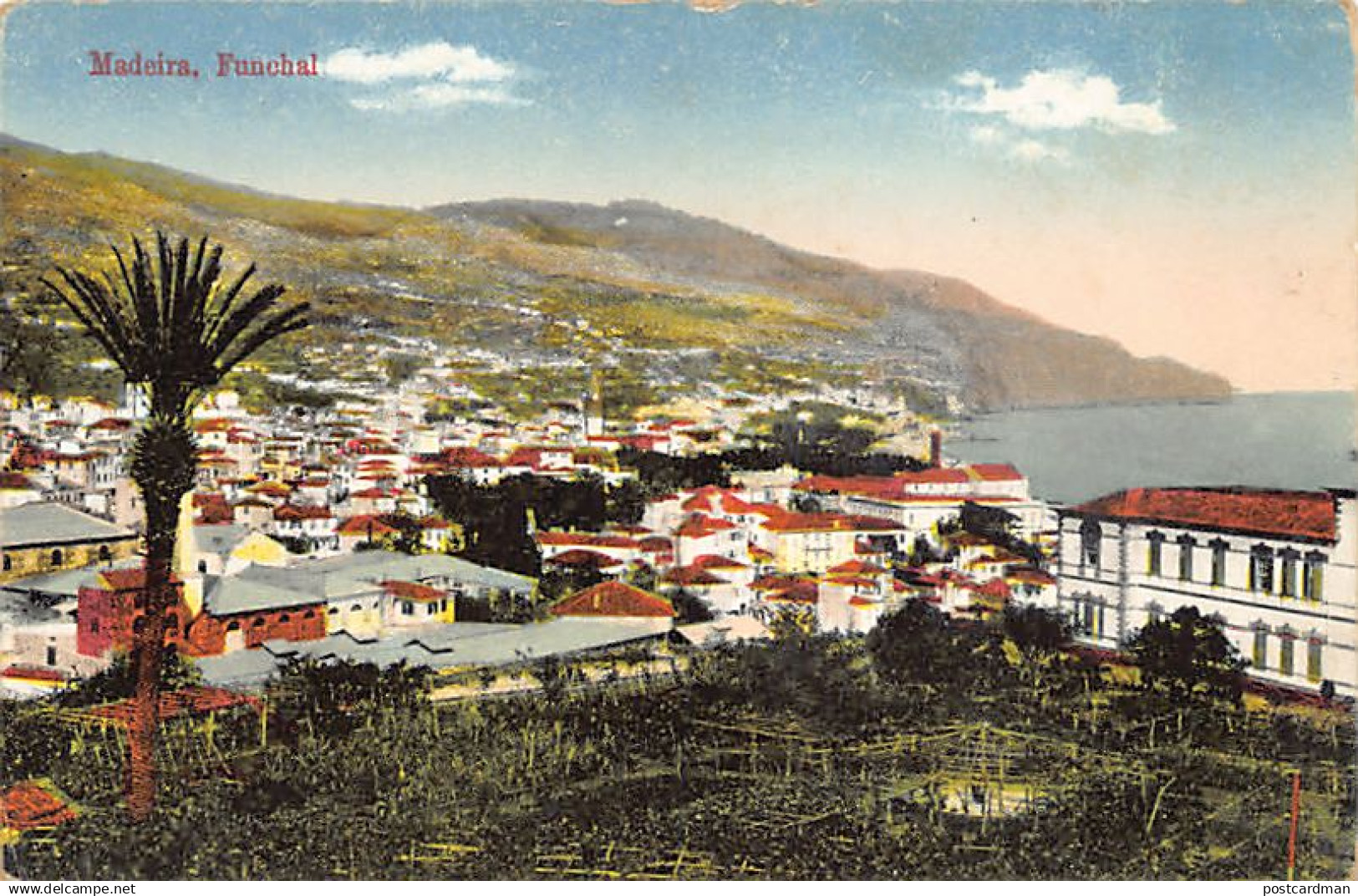 Madeira - FUNCHAL - Panorama - Ed. B.P. 106