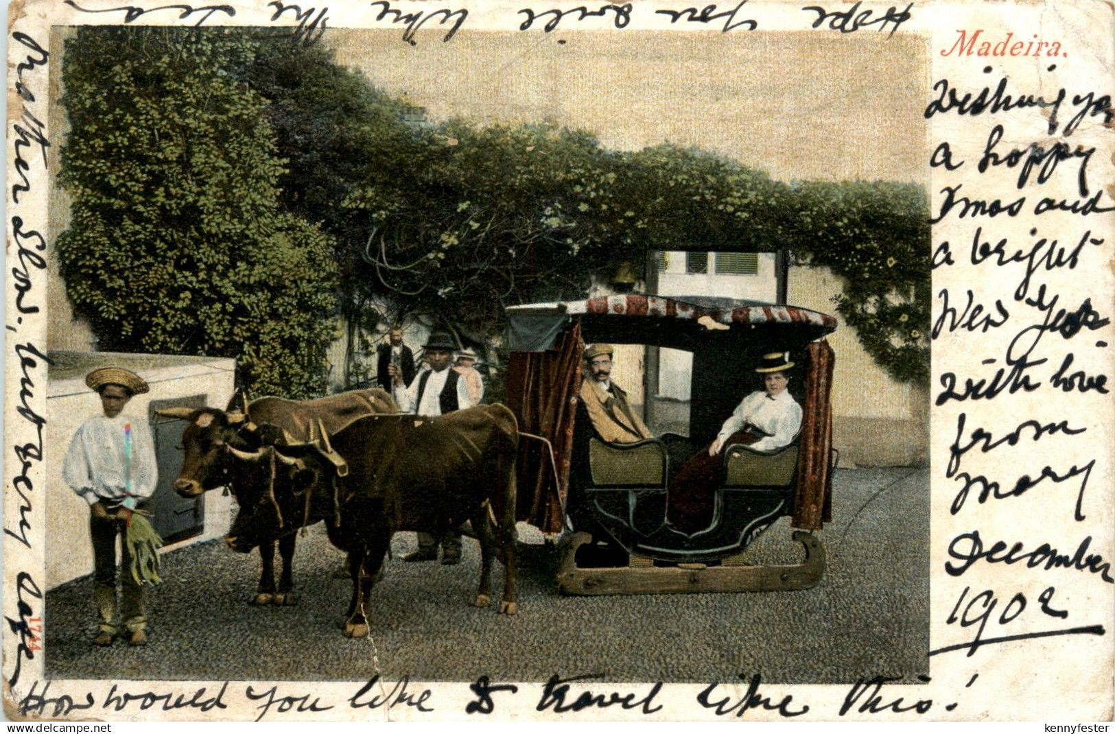 Madeira - Pullock Car