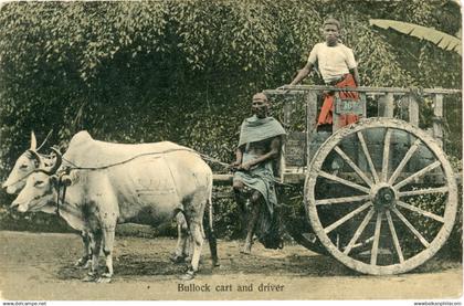 Malaysia Bullock Cart and Driver