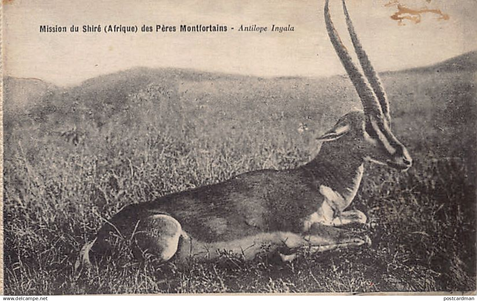 Malawi - Antelope Inyala - Publ. Mission of the Shire of the Montfort Fathers