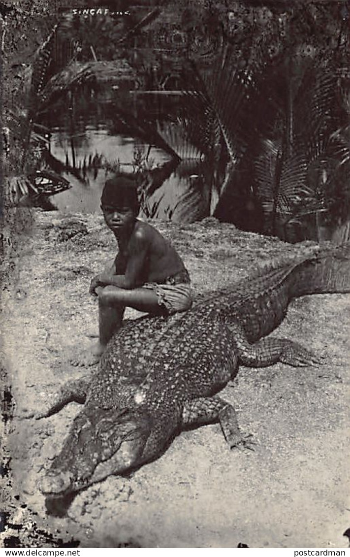 Malaysia - Crocodile - REAL PHOTO - Publ. unknown