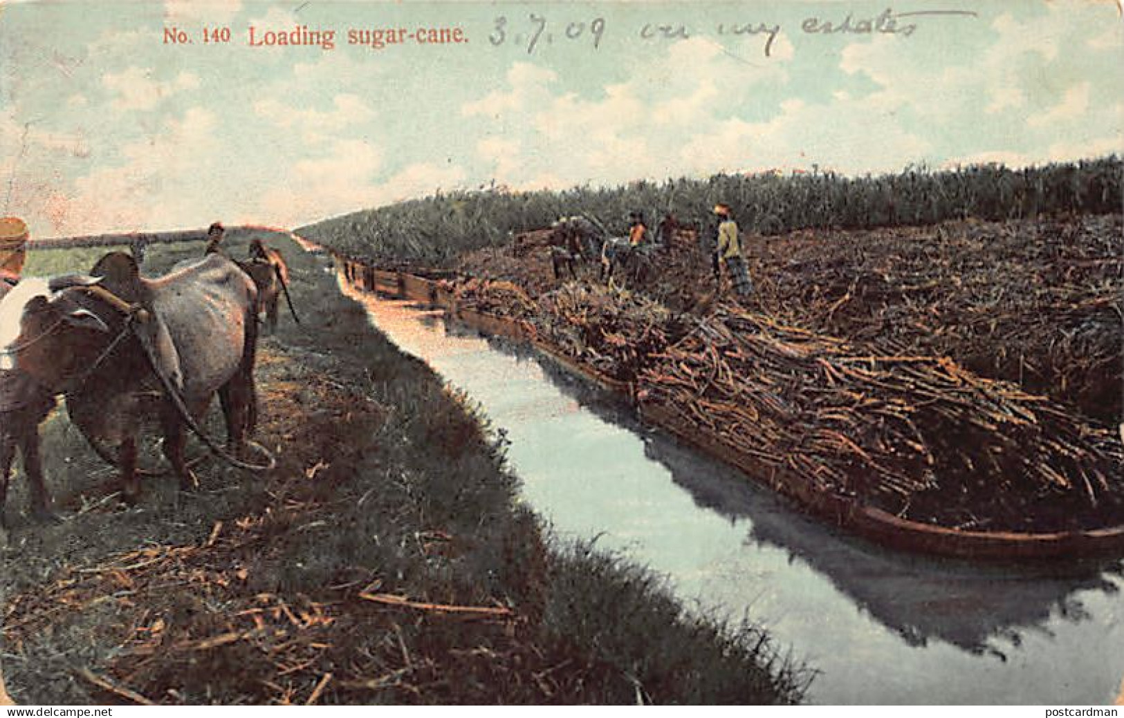 Malaysia - Loading sugar cane - Publ. A. Kaulfuss 140