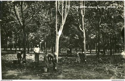 Malaysia Mature Rubber Tapping Photocard