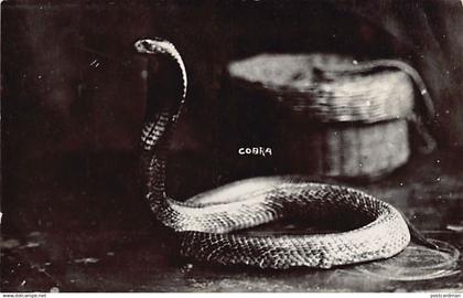 Malaysia - Cobra - REAL PHOTO - Publ. unknown