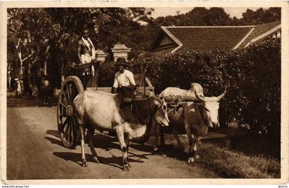 PC MALAYSIA, BULLOCK CART, VINTAGE POSTCARD (b12102)