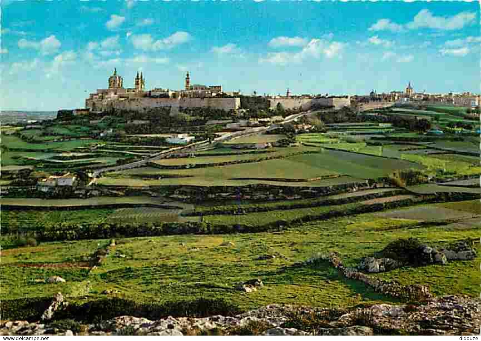 Malte - Valley beyond the Bastions of Mdina - CPM - Voir Scans Recto-Verso