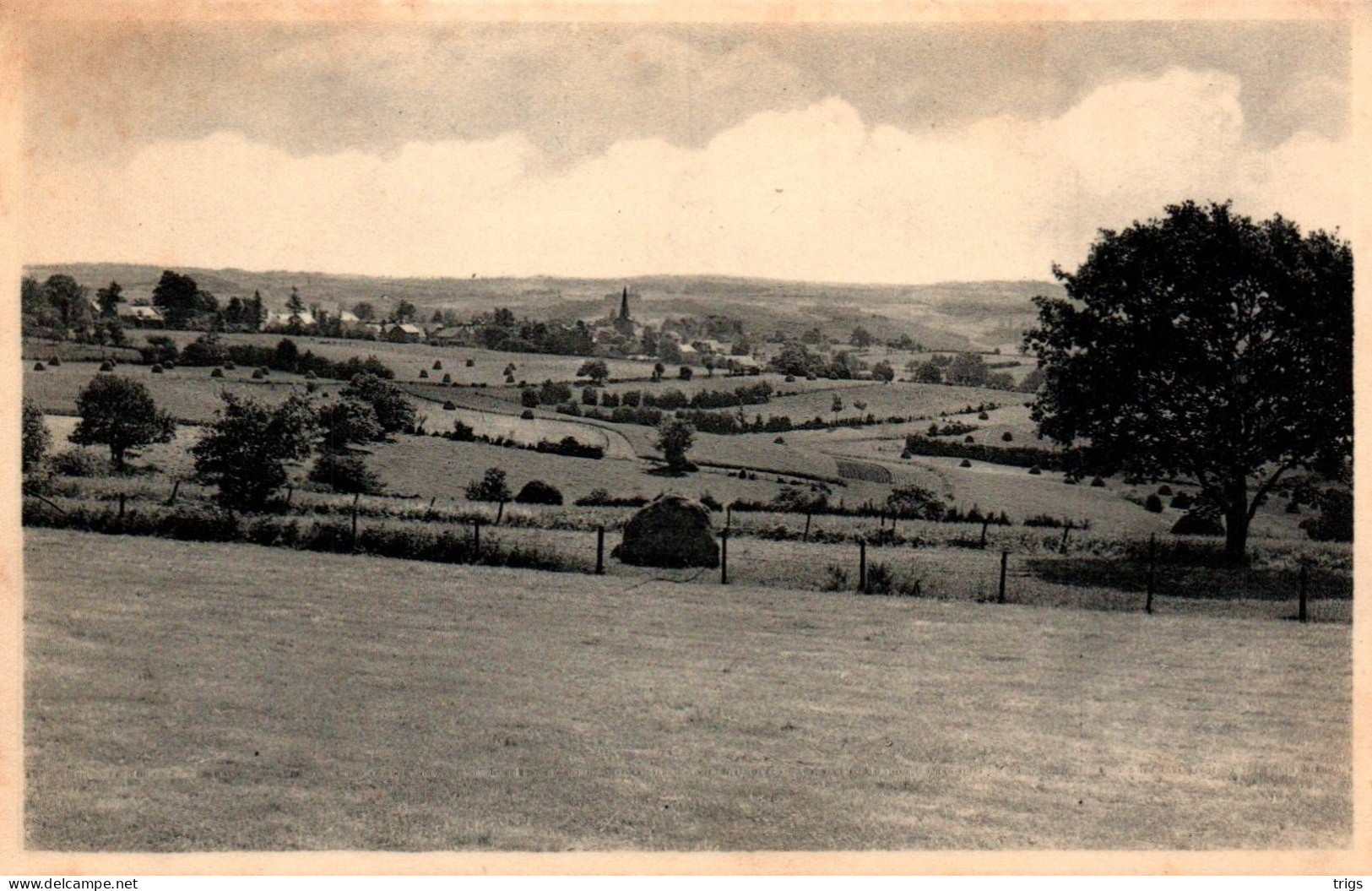 Manderfeld - Panorama