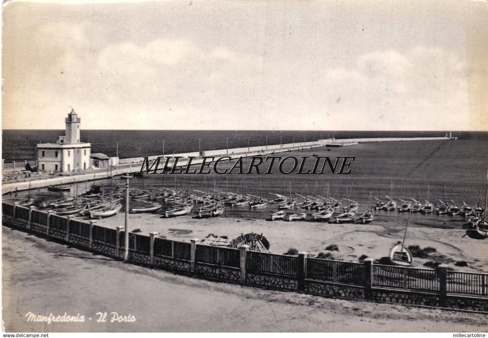 MANFREDONIA: Il Porto    1953