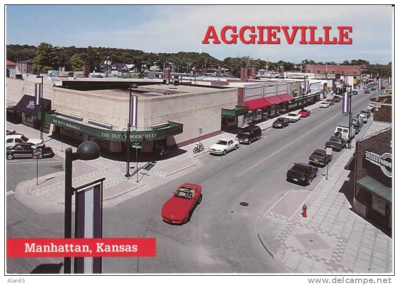 Manhattan KS Kansas, Aggieville KSU Main Street Scene, Book Store Autos, c1990s Vintage Postcard