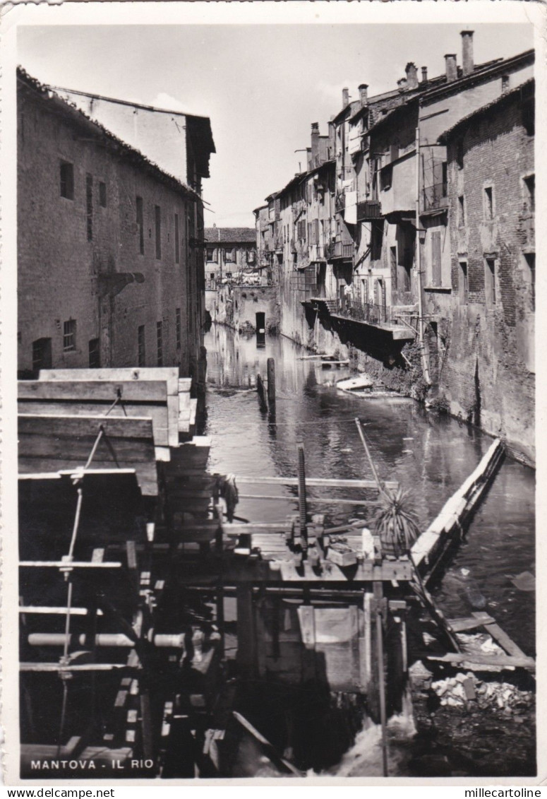 MANTOVA: Il Rio   1952