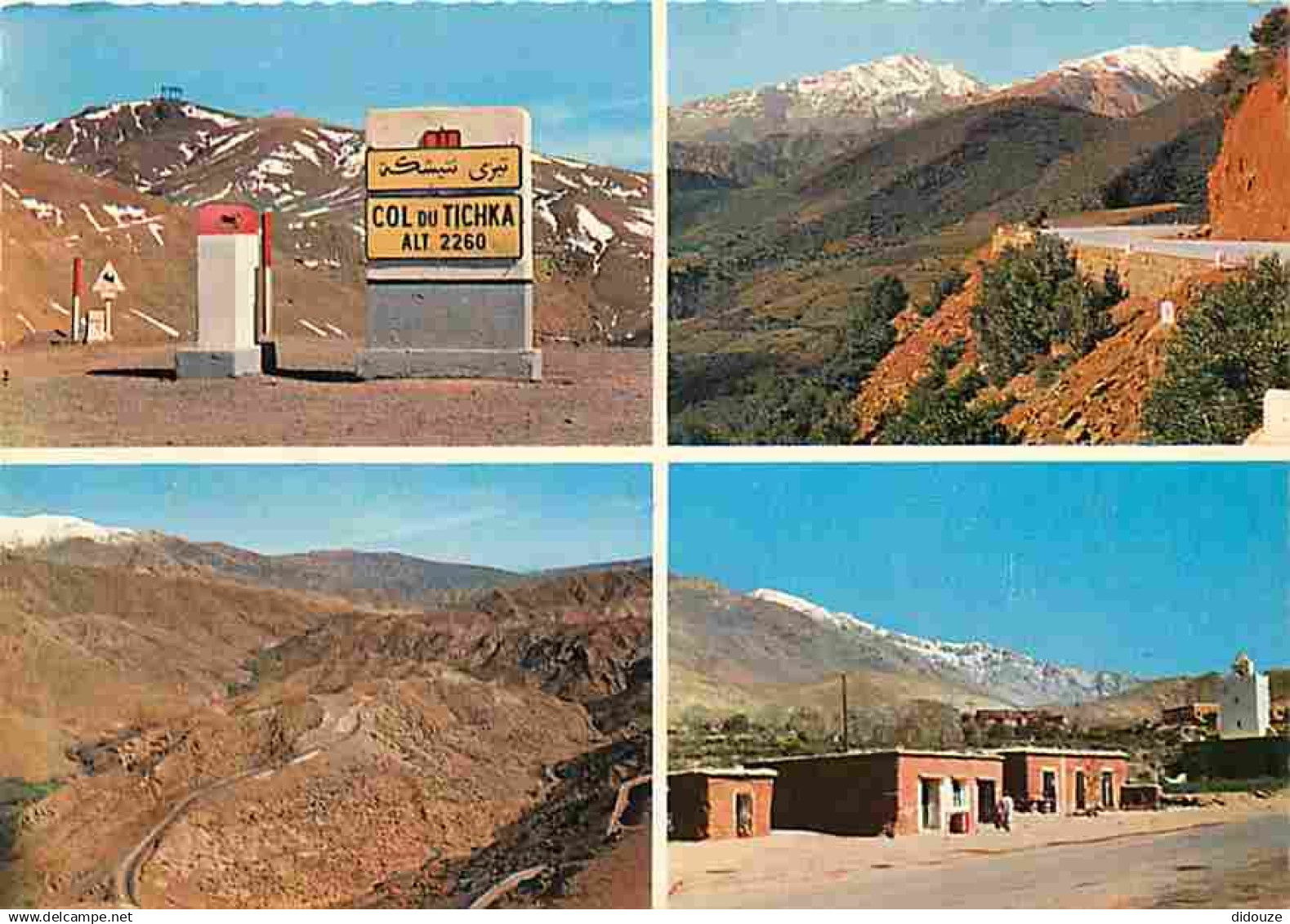 Maroc - Marrakech - Région de Marrakech - Multivues - Carte Neuve - CPM - Voir Scans Recto-Verso