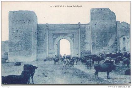 MEKNES - Porte Bab-Djdid