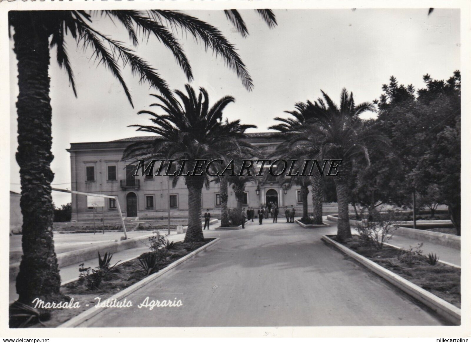 MARSALA:  Istituto Agrario    1958