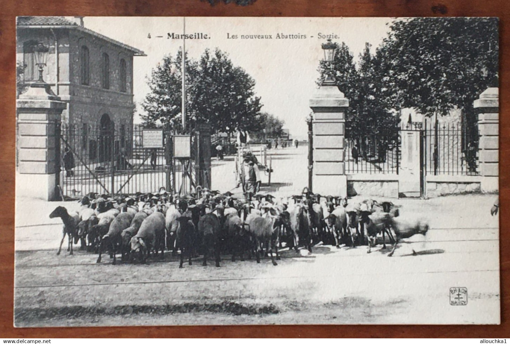 Marseille Rare Top CPA Les Nouveaux Abattoirs [13] Bouches-du-Rhône sortie des moutons berger-éditions PH & Cie Nancy