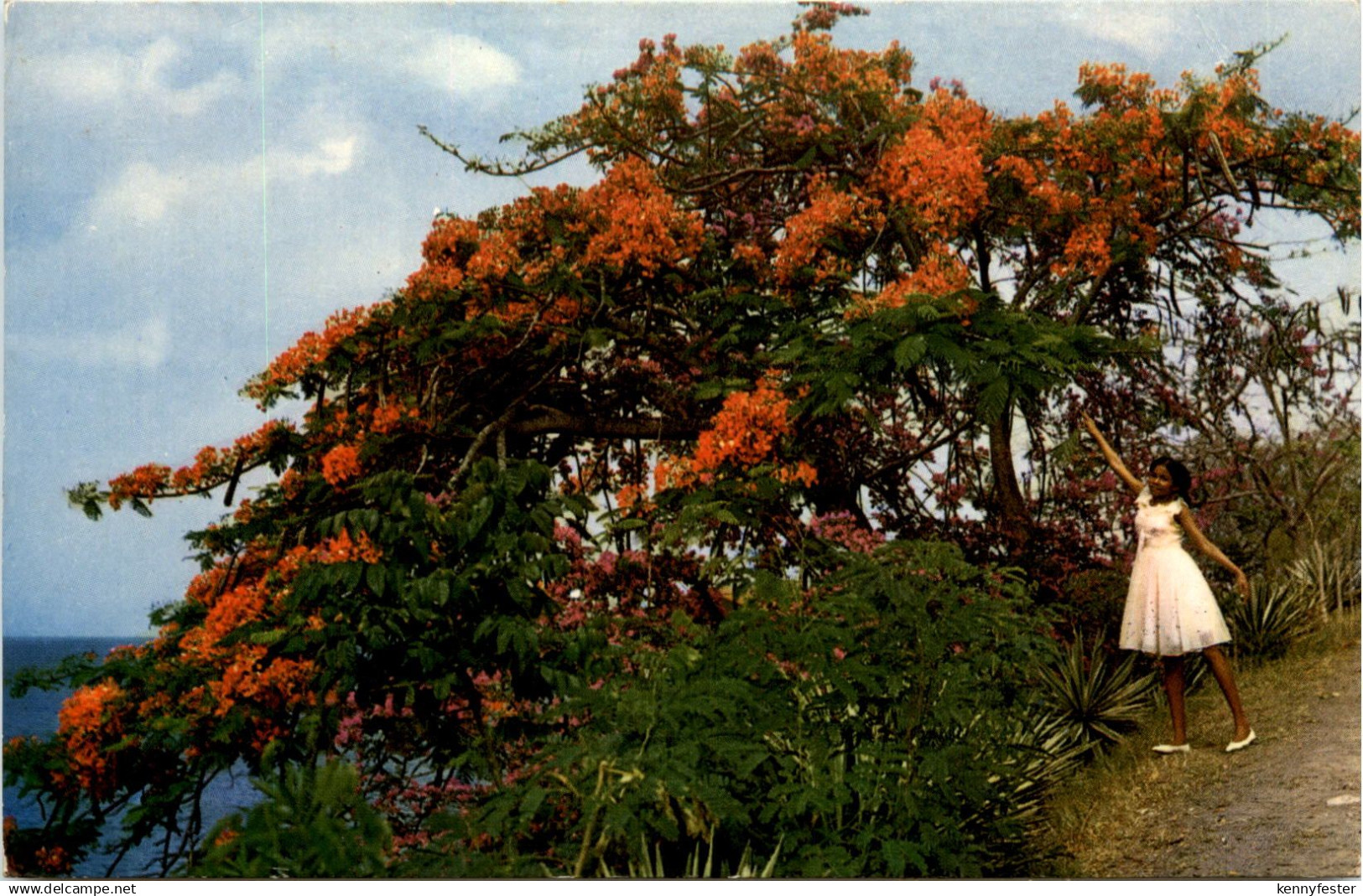 Martinique