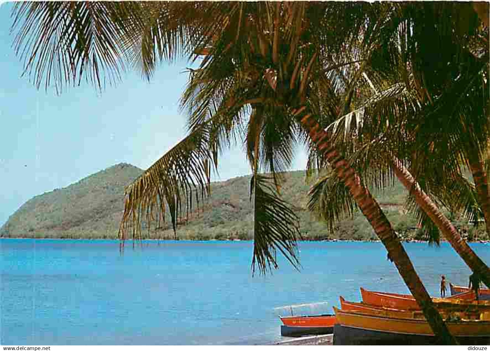 Martinique - Anse d'Arlet - Le Cap Salomon vu de la Grande Anse - CPM - Voir Scans Recto-Verso