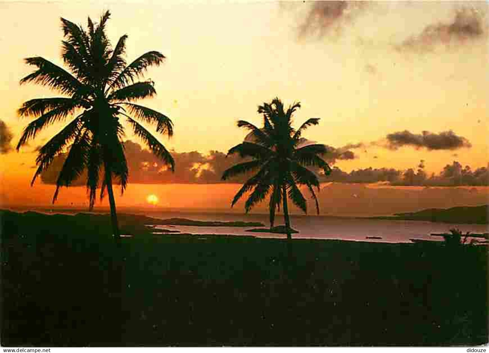 Martinique - Fort de France - Couchant sur la Baie de Fort de France - CPM - Voir Scans Recto-Verso