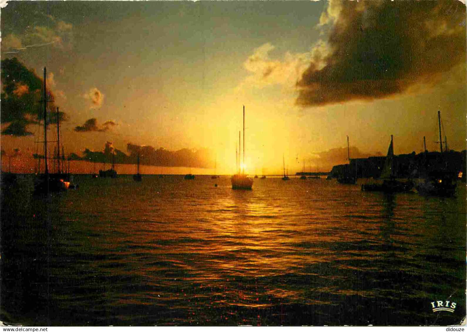 Martinique - Fort de France - Coucher de soleil sur la baie de Fort-de-France - CPM - Voir Scans Recto-Verso