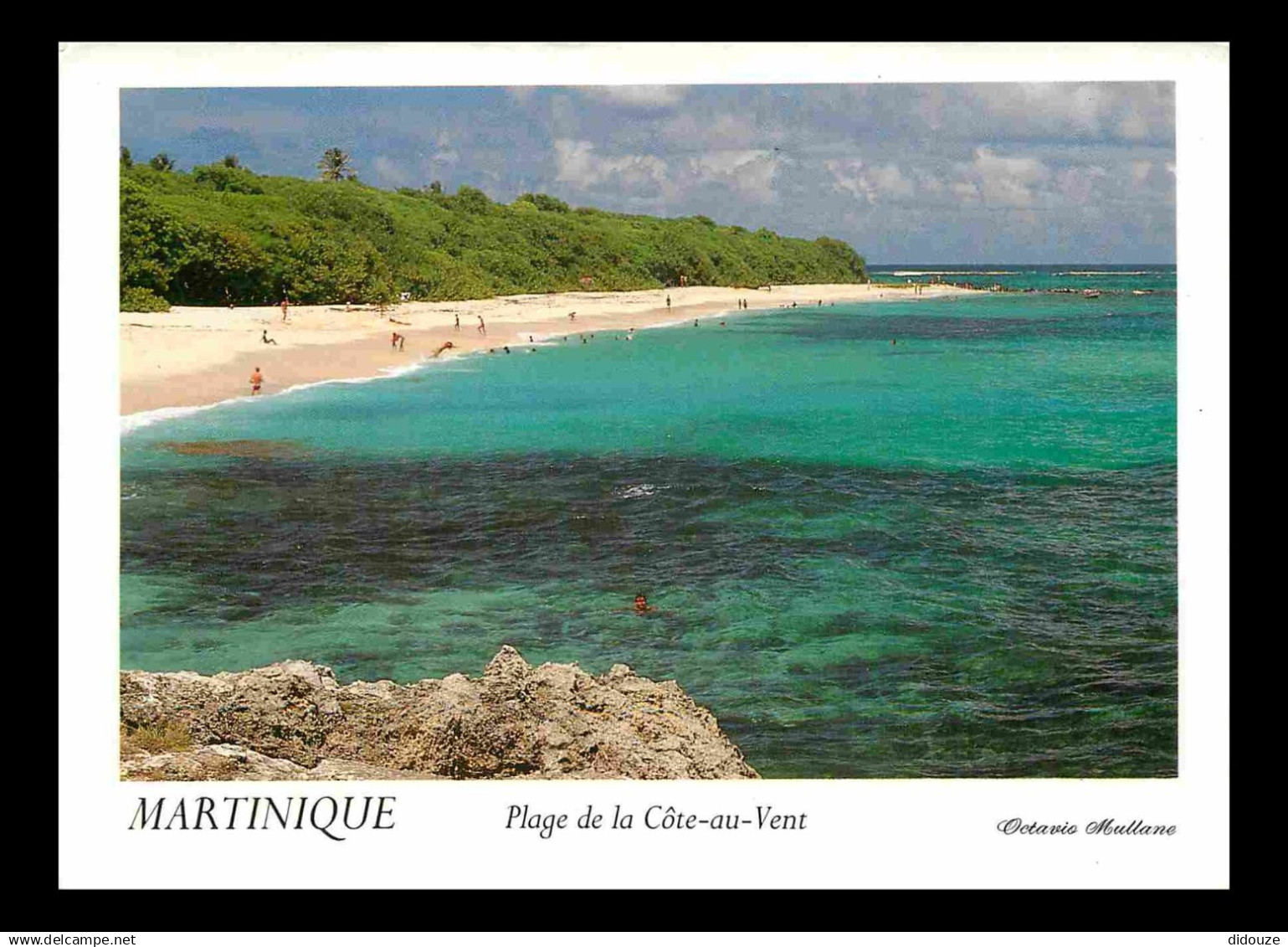 Martinique - Le Marin - Le Cap Macré - Plage de la Côte-au-Vent - CPM - Voir Scans Recto-Verso