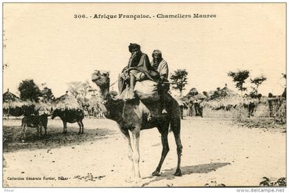 MAURITANIE(TYPE) CHAMEAU