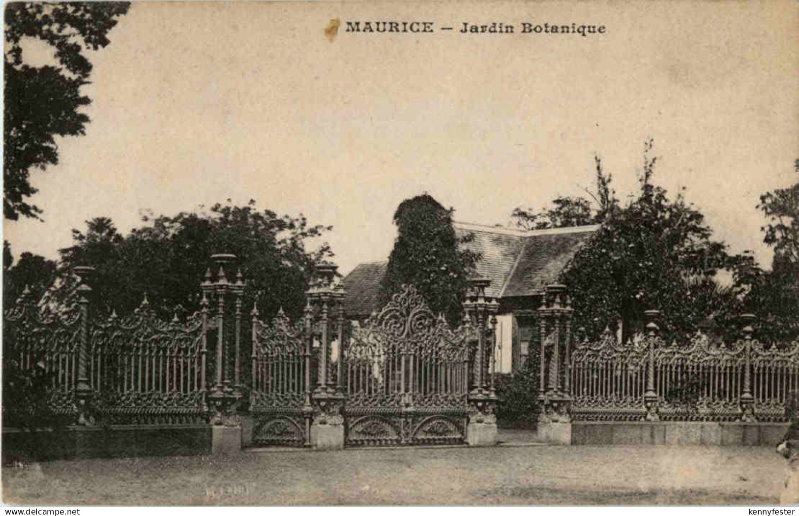 Maurice - - Jardin Botanique