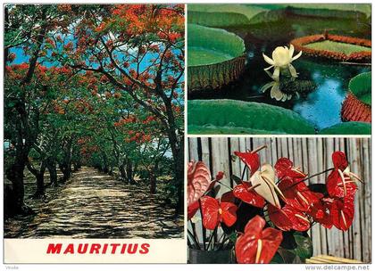 : réf : L-12-1689  : Mauritus