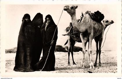 PC MAURITANIA FEMMES MAURES A LA CORVÉE DE BOIS ETHNIC TYPES (a53231)