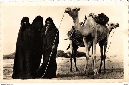 PC MAURITANIA FEMMES MAURES A LA CORVÉE DE BOIS ETHNIC TYPES (a53258)