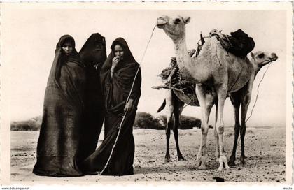 PC MAURITANIA FEMMES MAURES A LA CORVÉE DE BOIS ETHNIC TYPES (a53232)