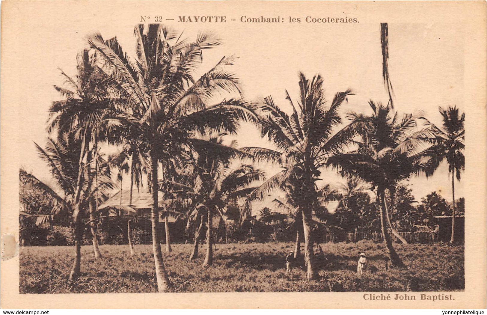 Mayotte / 30 - Combani - les Cocoteraies